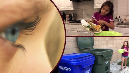 RDS Food Waste Recycling video thumbnail